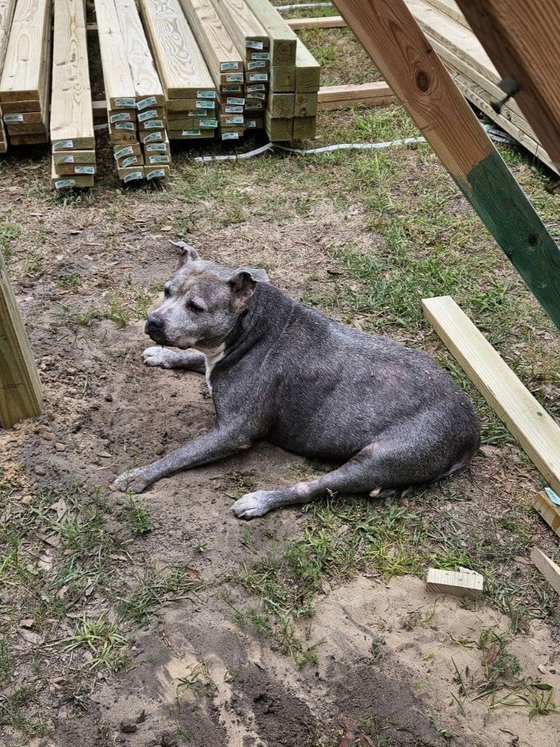 Bella, Employee of the Year